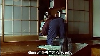 Ethnic Japanese Cow Cries Alone At Sunrise In Movie