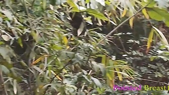 Un Incontro Selvaggio In Campagna Come Ex Amante Possessivo Penetra Brutalmente Una Ragazza Locale Fino All'Orgasmo